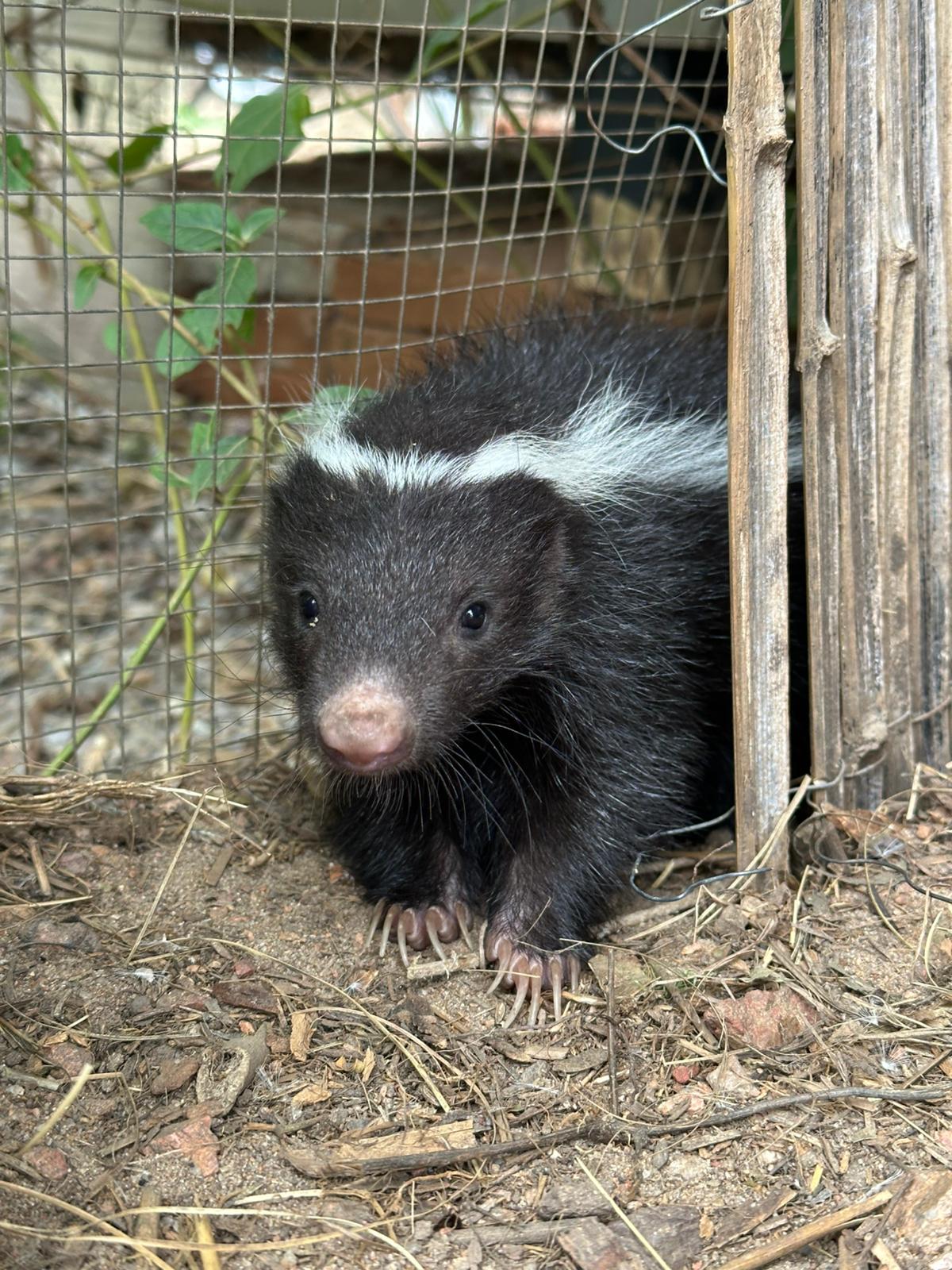 Conservación de la biodiversidad