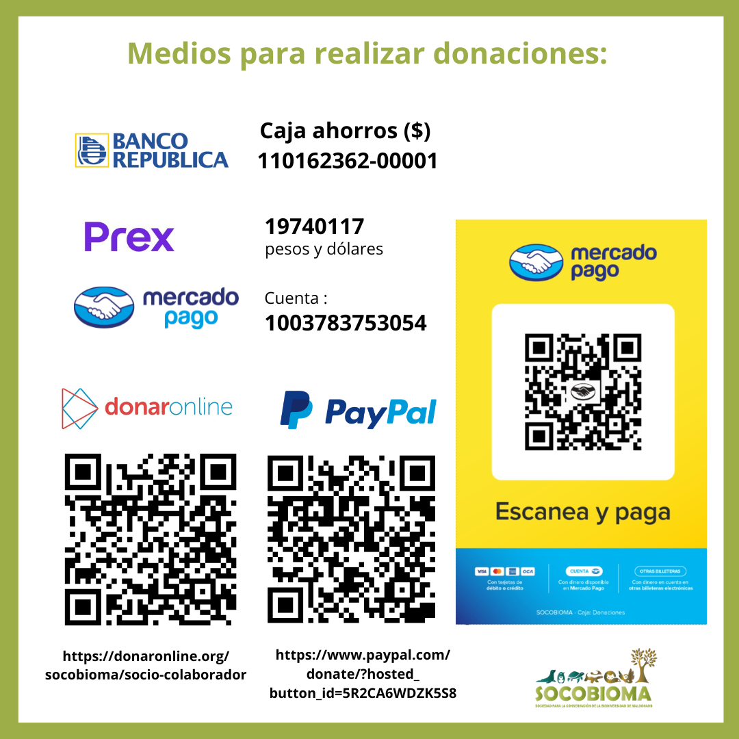 Medios para realizar donaciones a SO.CO.BIO.MA.